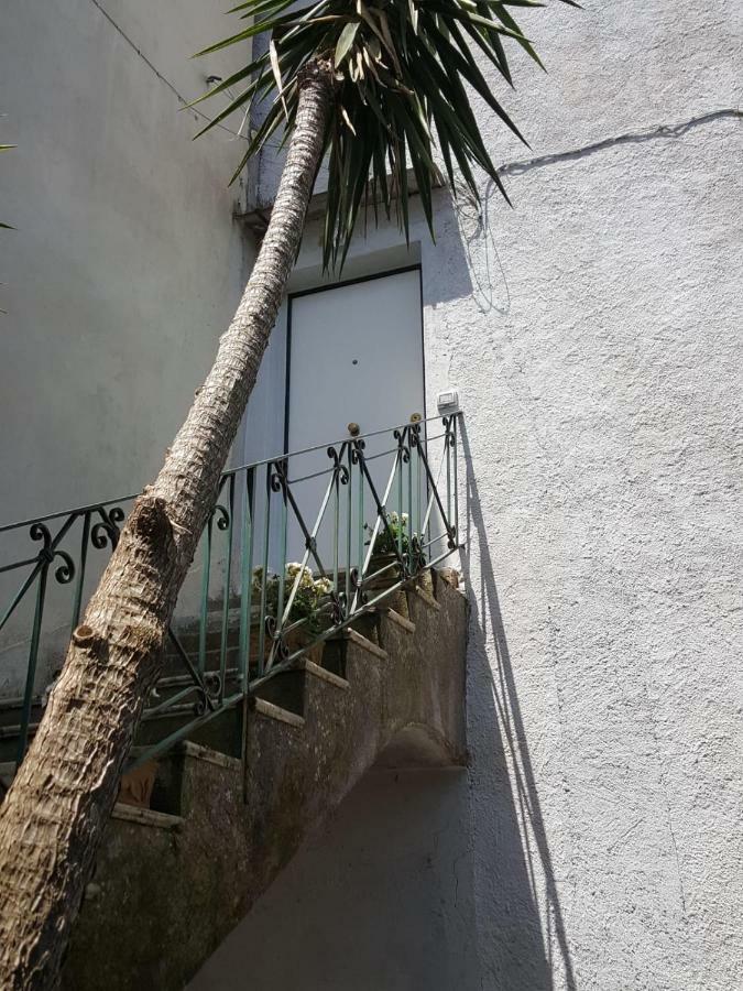 My Home Sorrento Exteriör bild