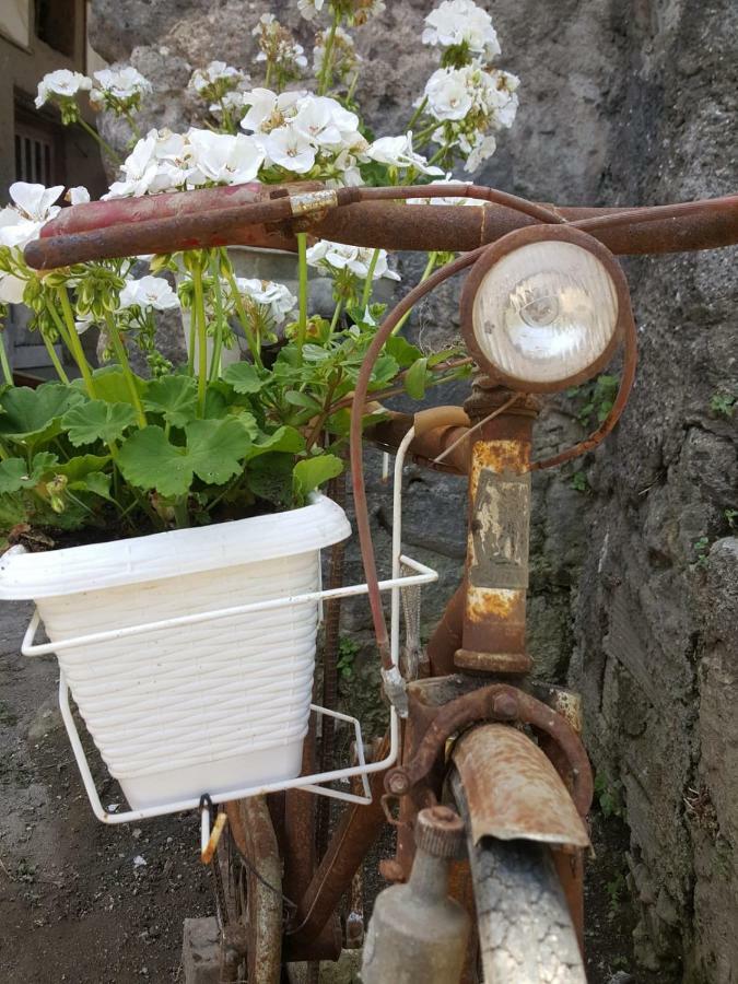 My Home Sorrento Exteriör bild